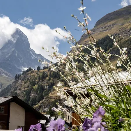 Village With Matterhorn View شقة زيرمات